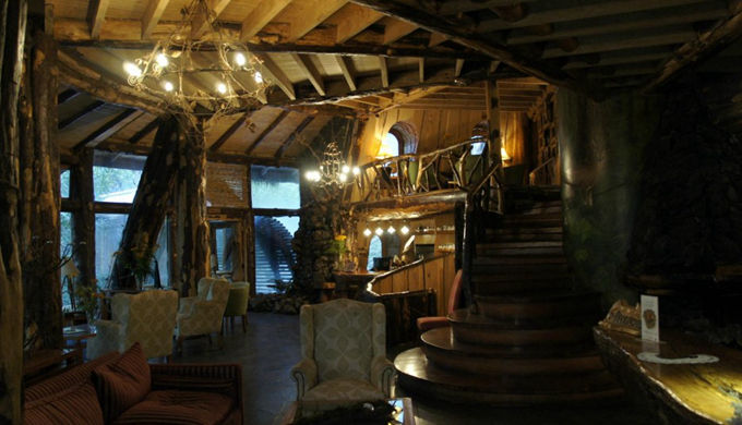神奇的魔法木制酒店，童话森林里的城堡(图8)